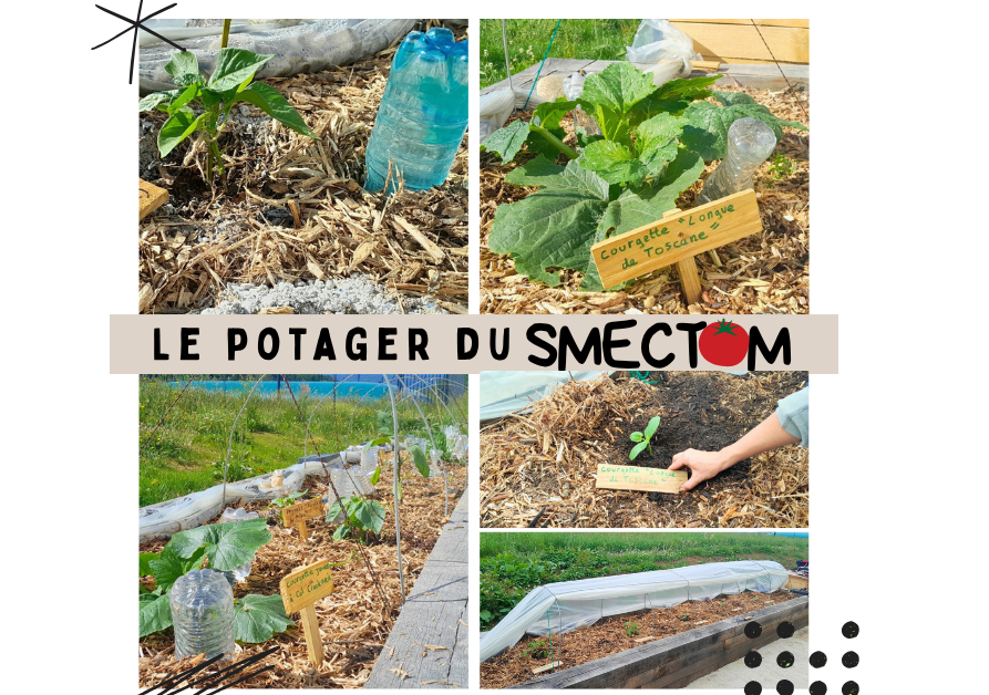  Face aux canicules, protégez votre jardin et économisez l'eau grâce au paillage !