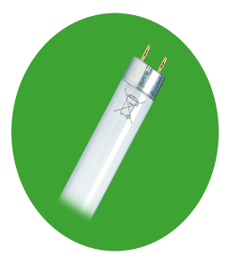 Tube fluorescent        